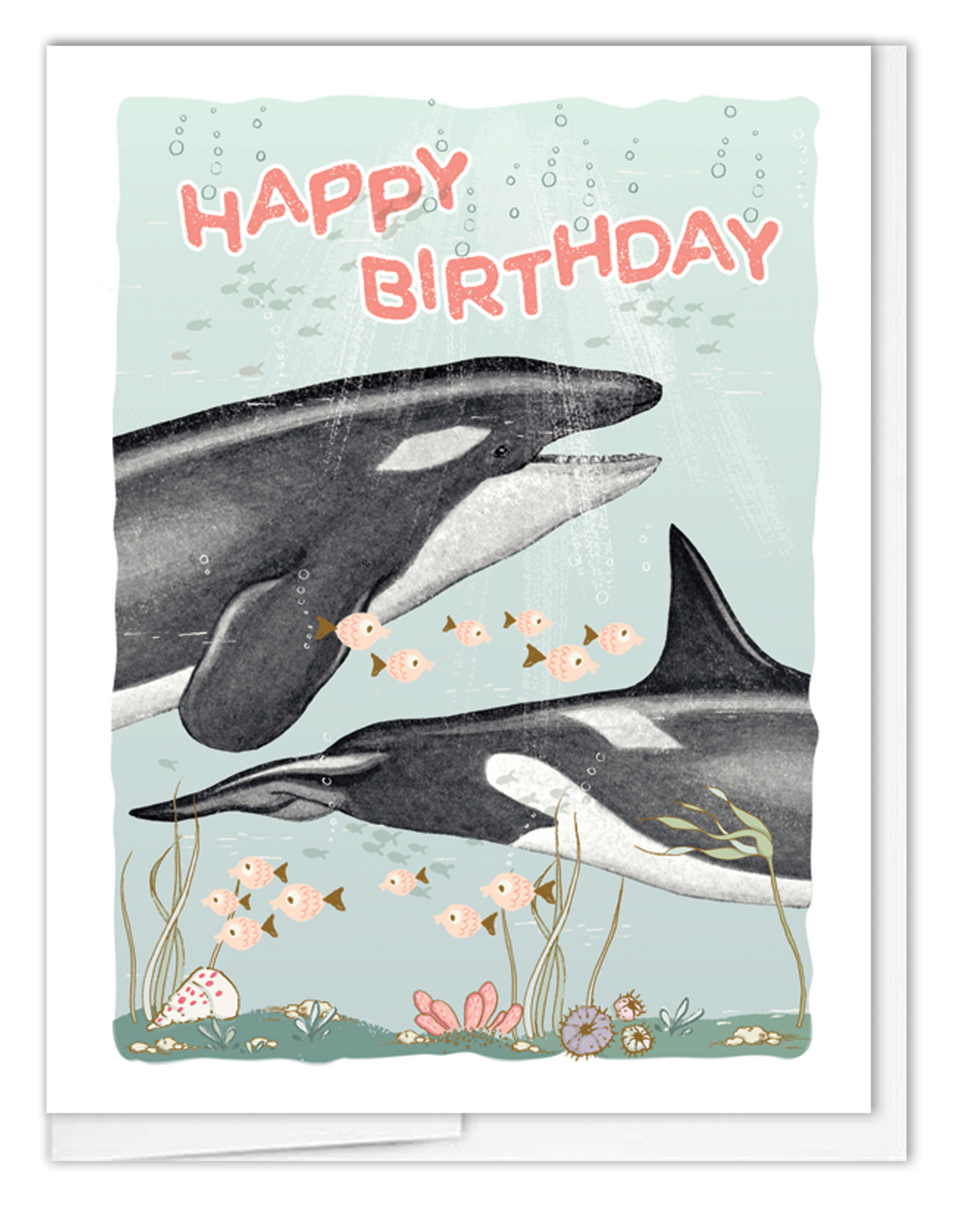 Birthday Orca