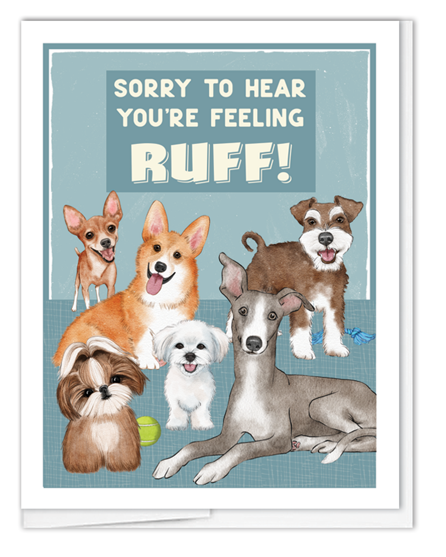 Get Well Feeling Ruff