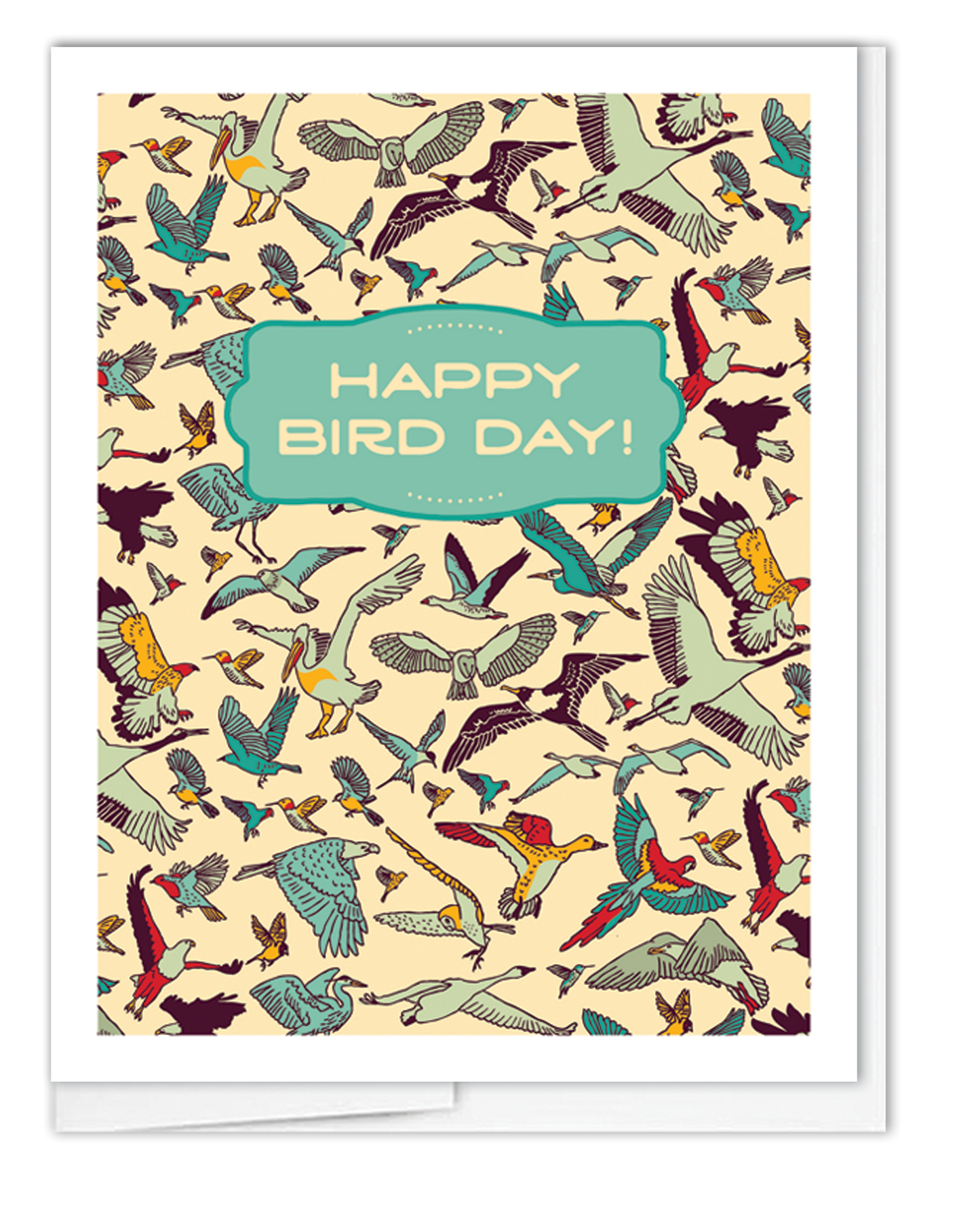 Bird Day