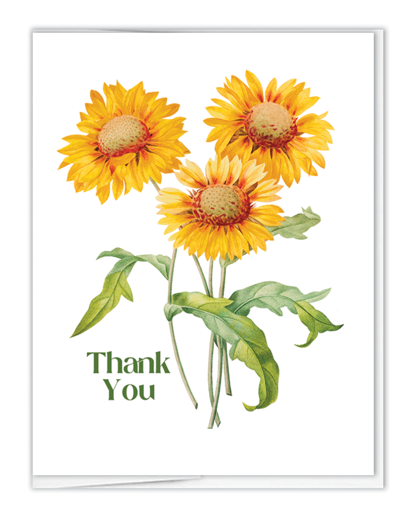 Thank You Sunflowers