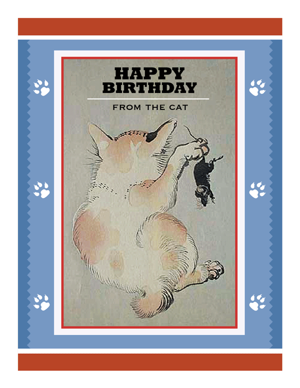 Birthday From The Cat