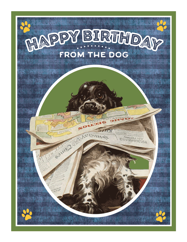 Birthday From The Dog