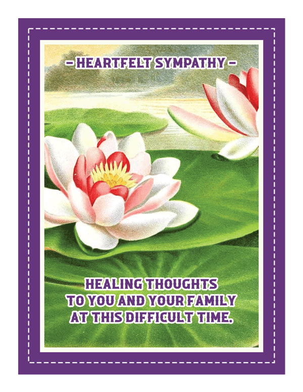 Sympathy Waterlily