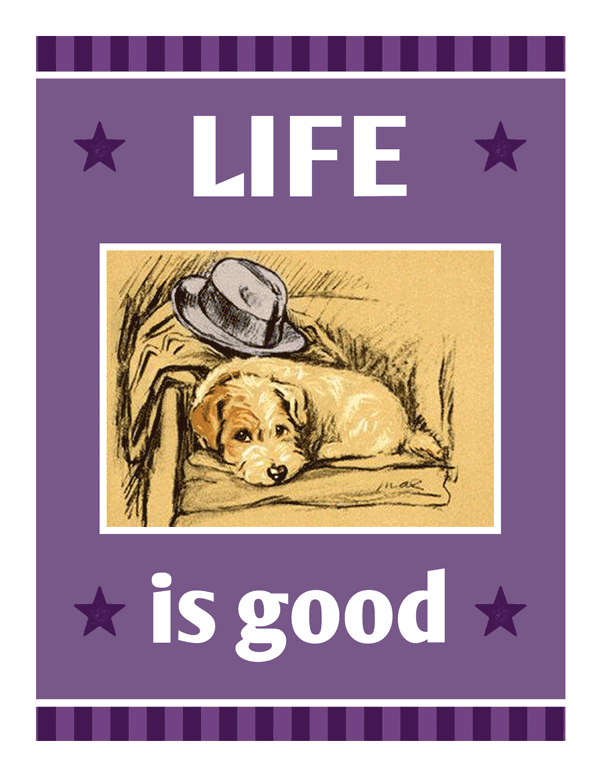 Life is Good