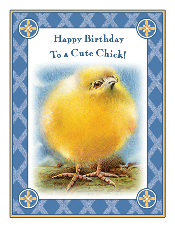 Birthday Chick