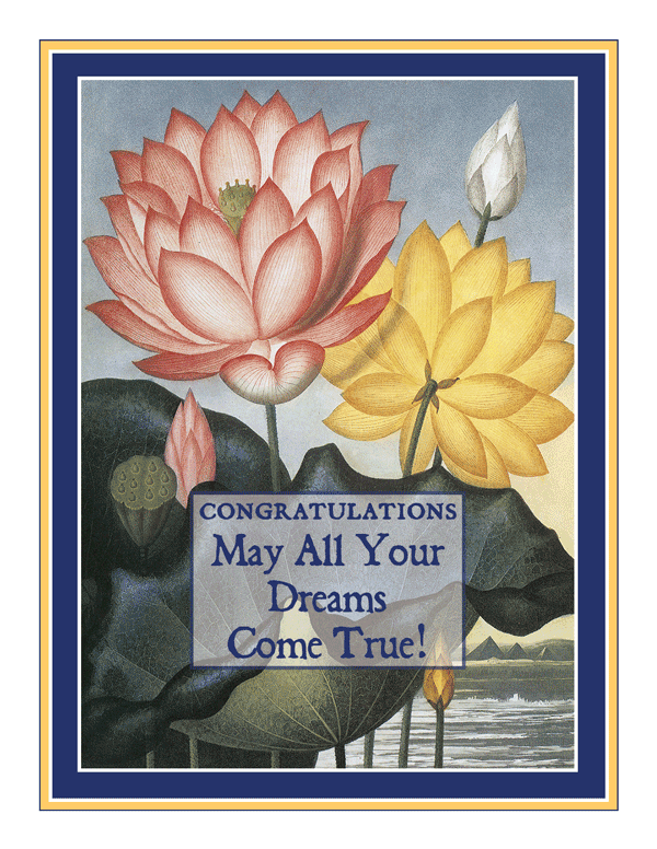 Congrats Dreams