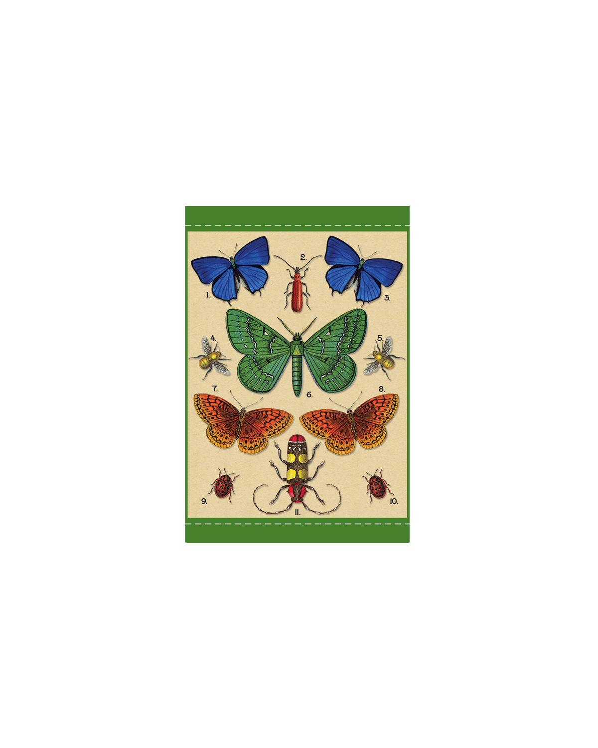 Butterflies Gift Enclosure Card