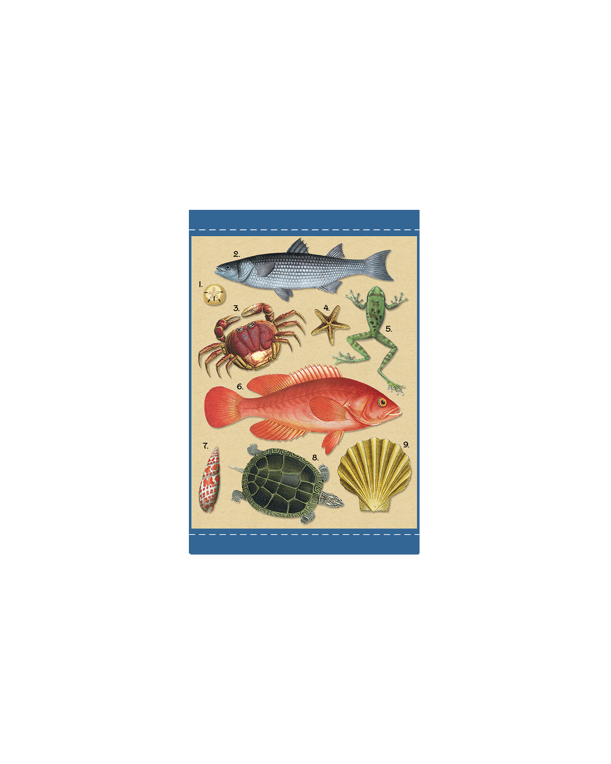 Under The Sea Gift Enclosure Card