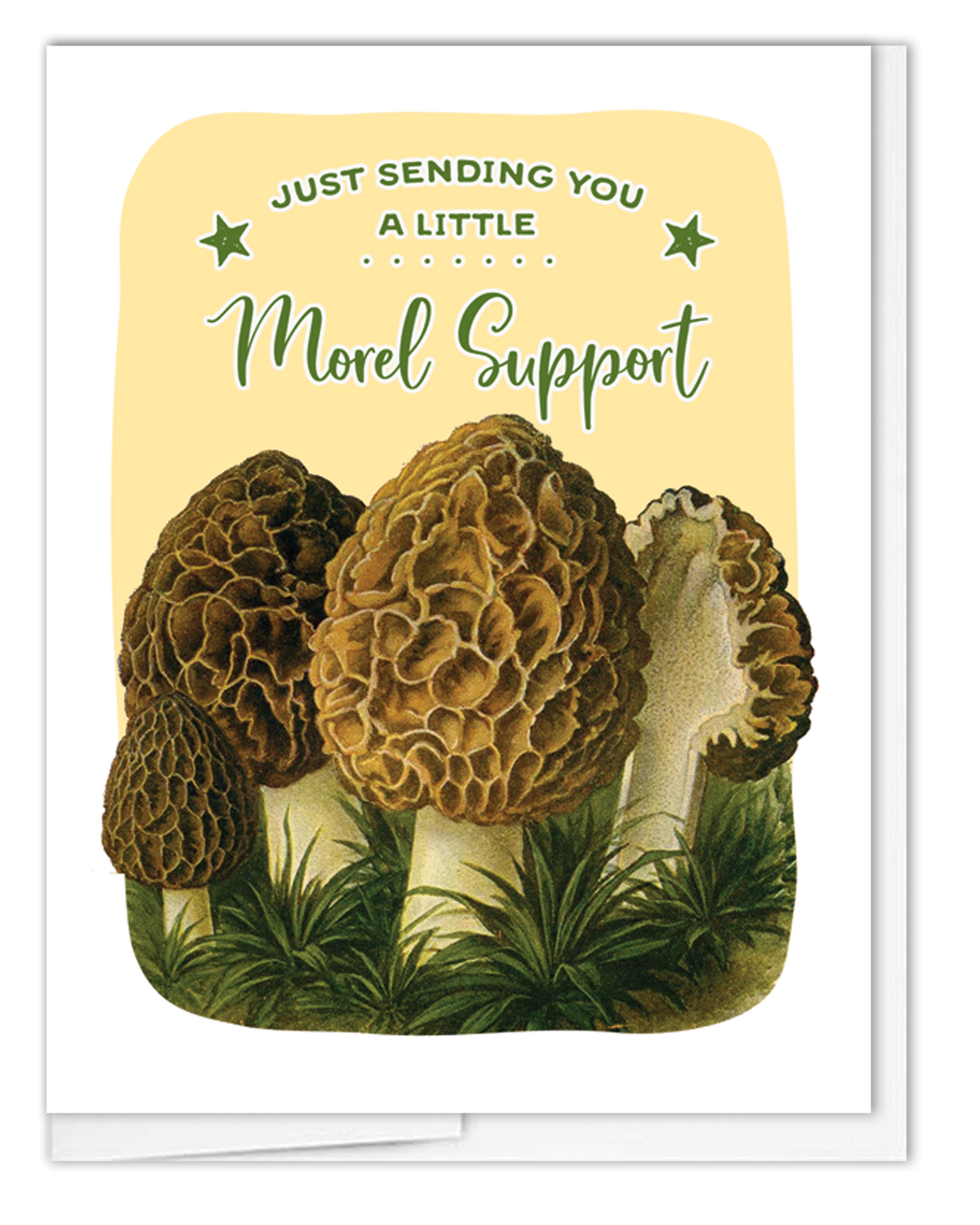 Morel Support