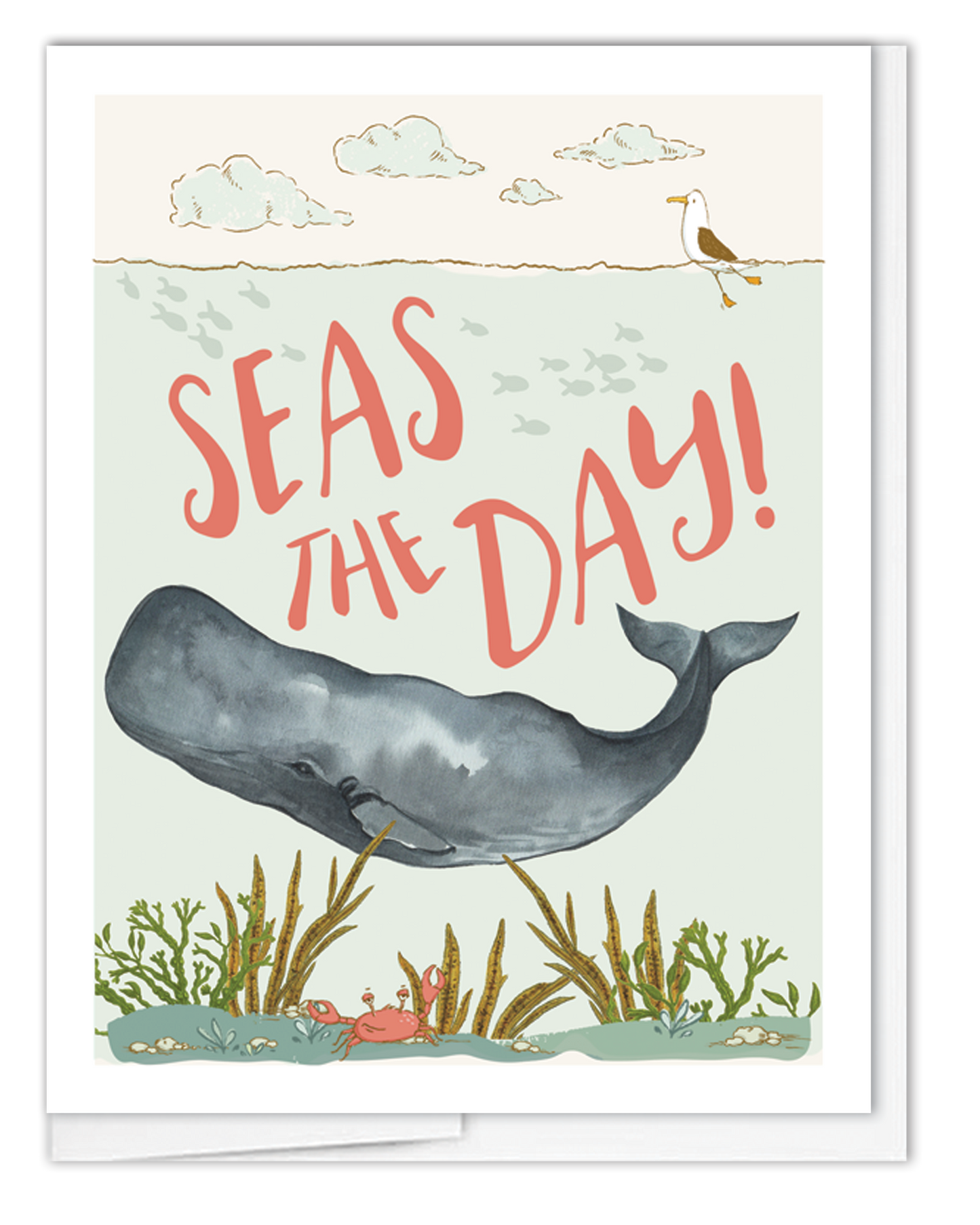 Seas The Day