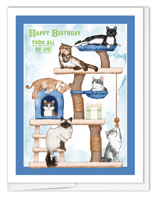 Birthday Cats