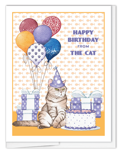 Kitty & Cake