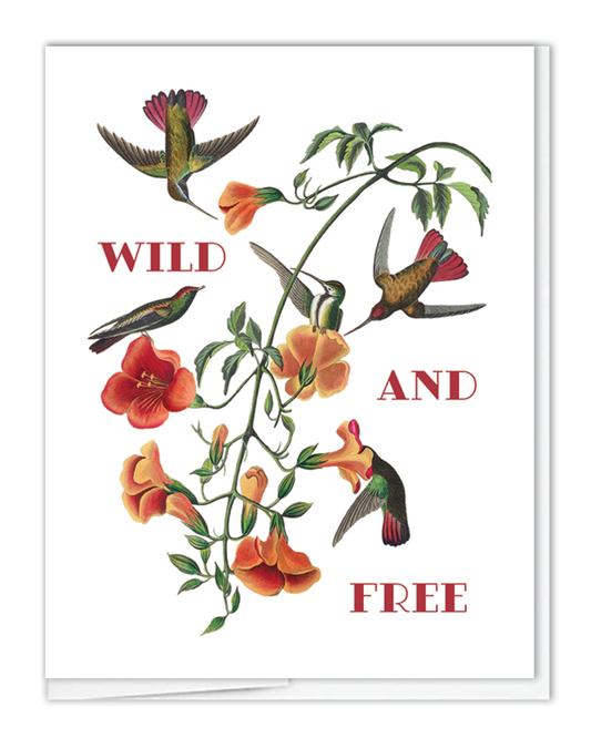 Birthday Hummingbirds