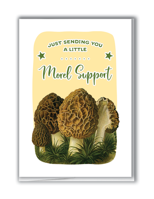Morel Support Mini Card