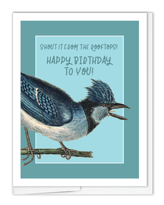 Birthday Bluejay