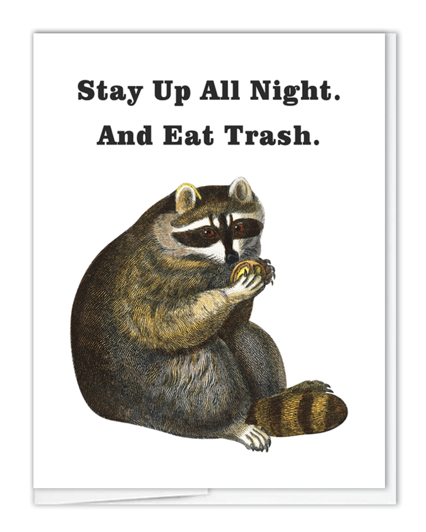 Birthday Trash Panda