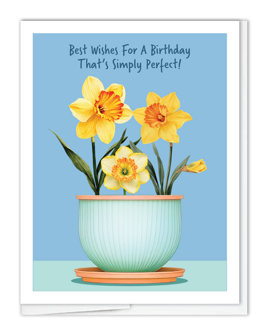 Birthday Daffodils