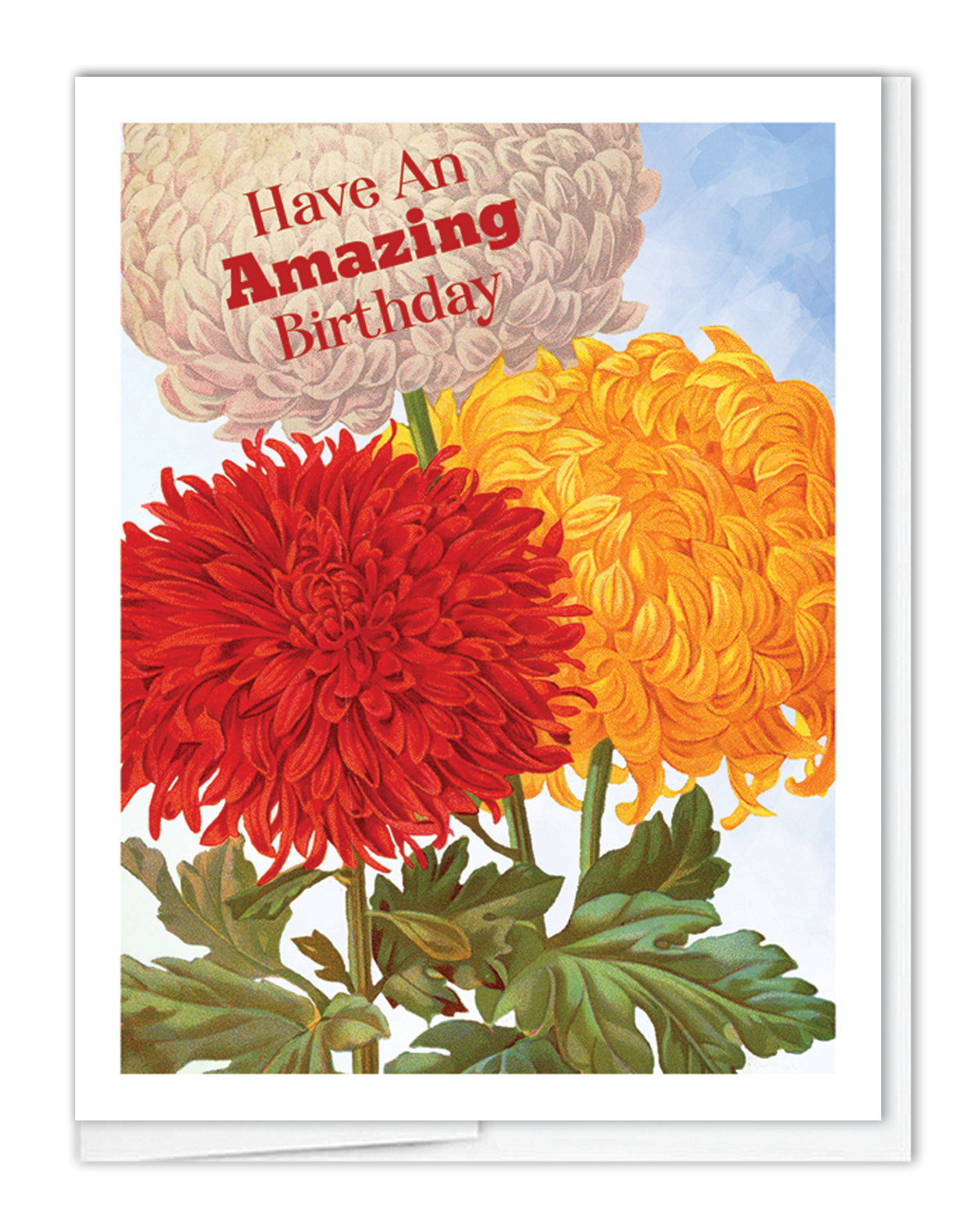 Birthday Mums