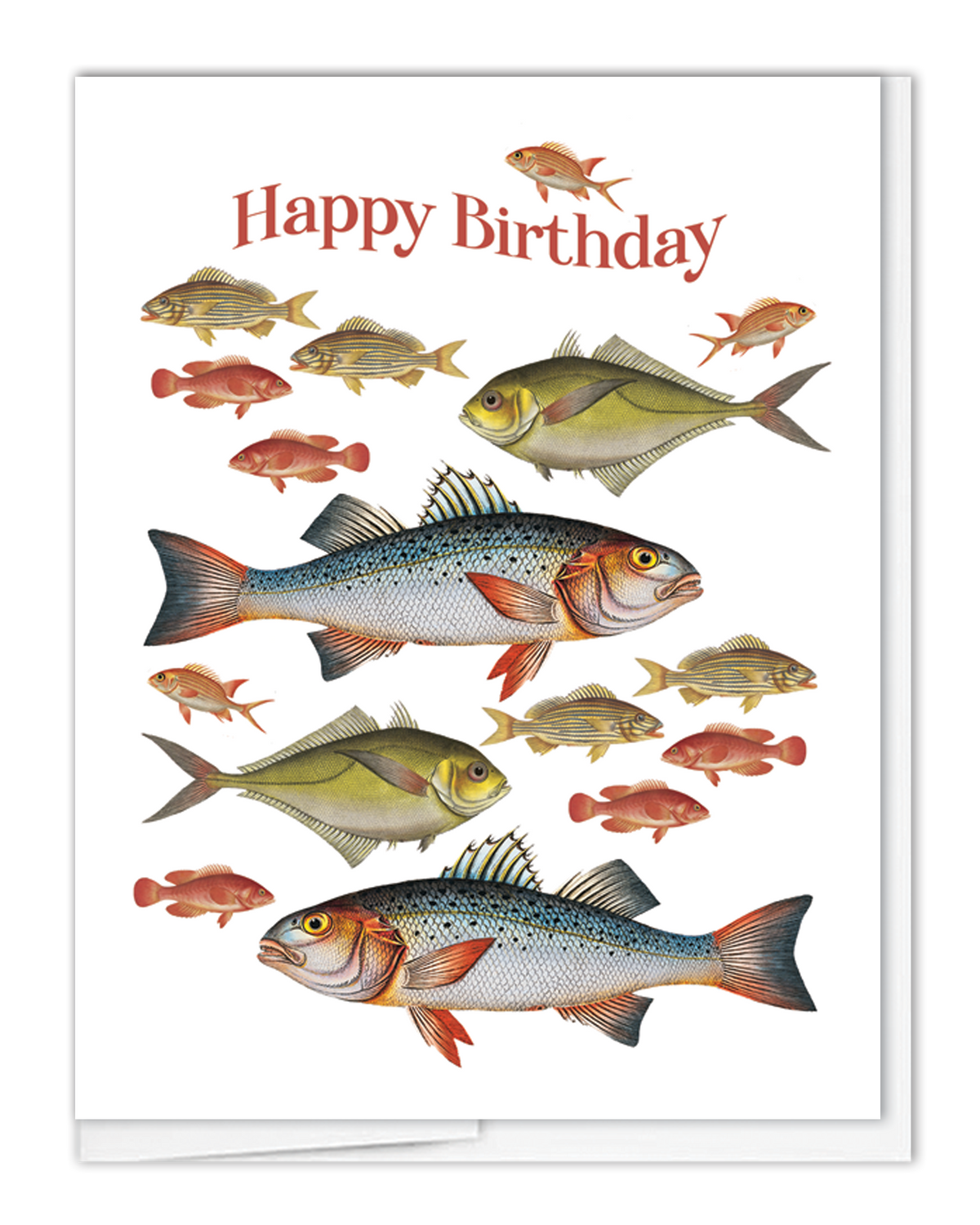 Birthday Fishes