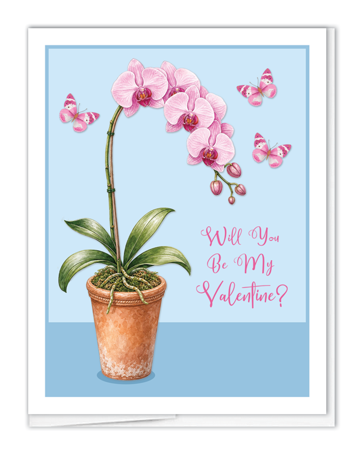 Valentine Orchid