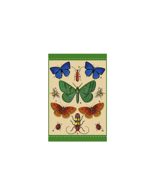 Butterflies Gift Enclosure Card