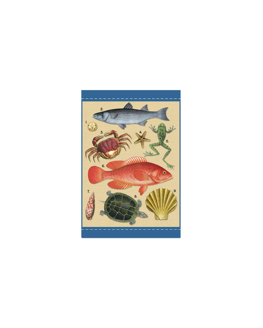 Under The Sea Gift Enclosure Card