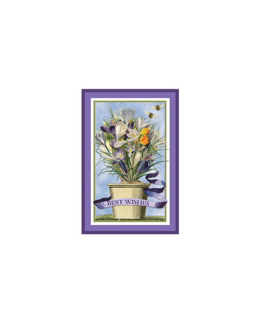 Best Wishes Gift Enclosure Card